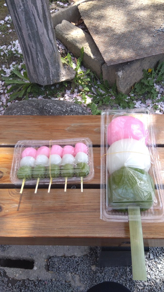WT_nekoyanagi's tweet image. お花見日和ですね🍡