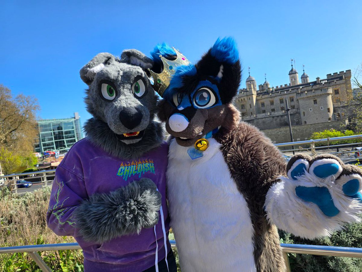 Flusky (@fluskyisking) on Twitter photo OMG me and my goober are causing chaos in London!!! 💙💙💙
❤️ <a href="/Marbs29409106/">Major Marbs 🐺 🇬🇧</a>
#londonfurs #LFM #Furry OMG me and my goober are causing chaos in London!!! 💙💙💙
❤️ <a href="/Marbs29409106/">Major Marbs 🐺 🇬🇧</a>
#londonfurs #LFM #Furry