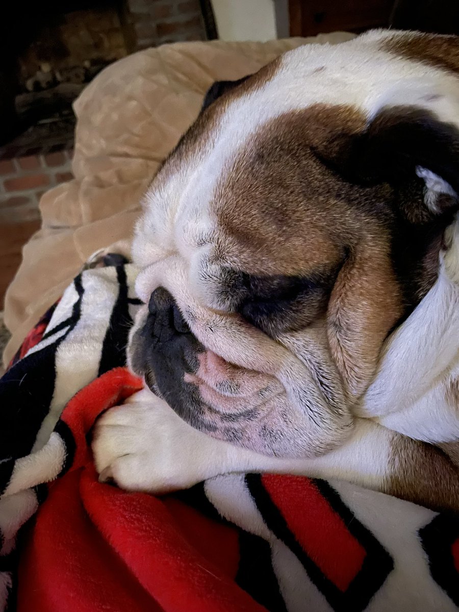 Elizabeth Ferguson tweet media