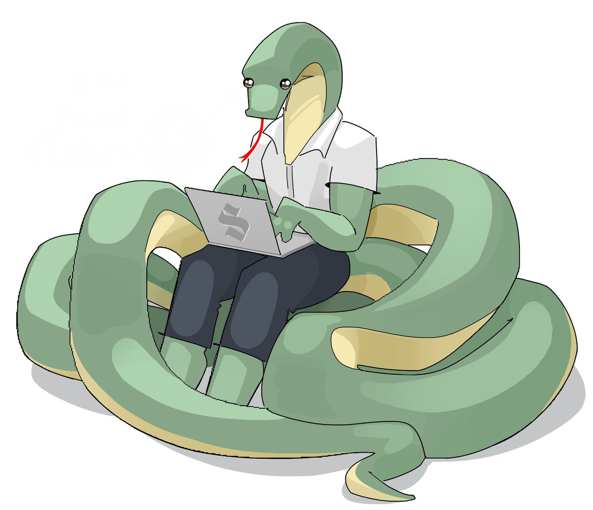 💻🐍 ...