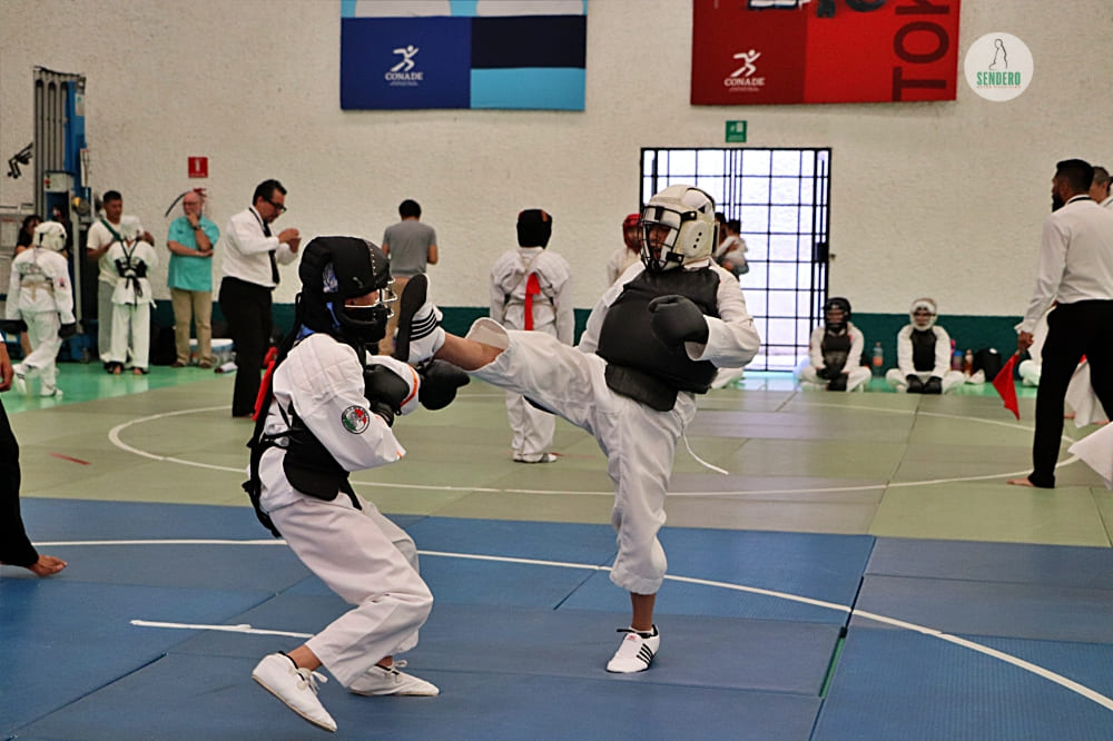 🔴  30°CAMPEONATO NACIONAL DE NIPPON KEMPO / 30 de marzo 2025, siendo sede el Centro Deportivo de Alto Rendimiento de Villas Tlalpan de  la Comisión Nacional de Cultura Física y Deporte (CONADE).🥋🥊🇲🇽
#nipponkempo #日本拳法 
📸Cobertura del evento: <a href="/SenderoArtesMar/">SenderoArtesMarciales</a>
