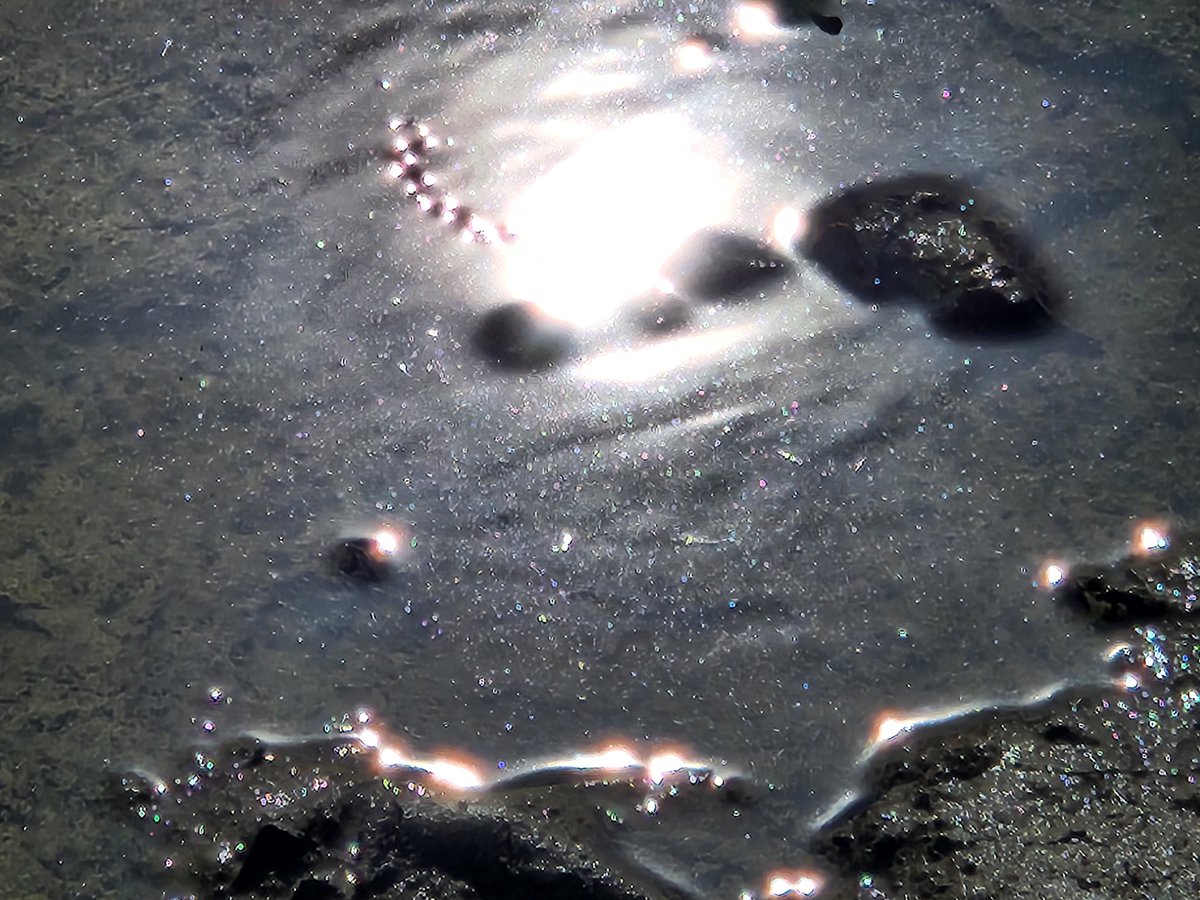 bufocalvin's tweet photo. #PuddlePic

Recently... https://t.co/RTgbnuQ2VH