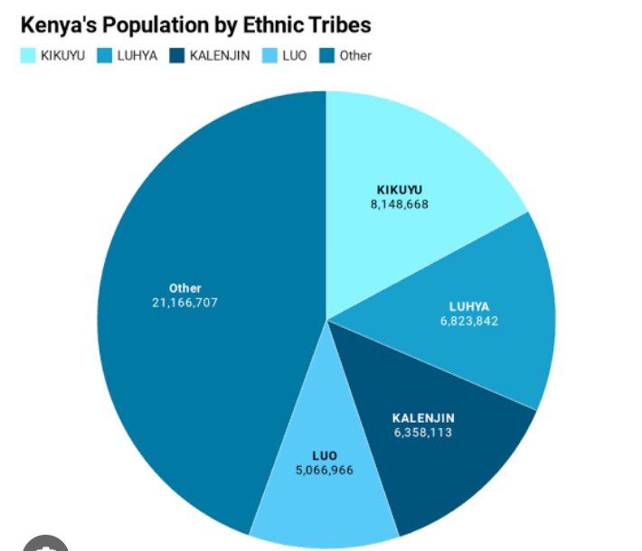 SherilAchieng12's tweet photo. What do you think? Should the ethnic groups be deported? share your ideas in the comment section below
#EthnicGroups https://t.co/S06UNo9ar3