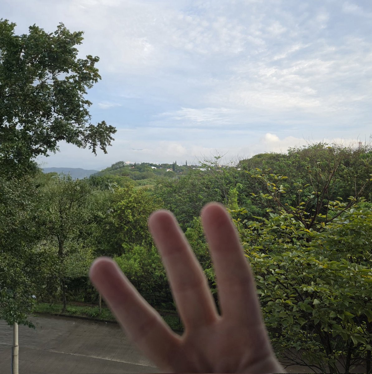 Taking advantage of the nice weather in Cali, Colombia to launch the watcher node from <a href="/DeNetPro/">DeNet</a> 
#WatchersEverywhere