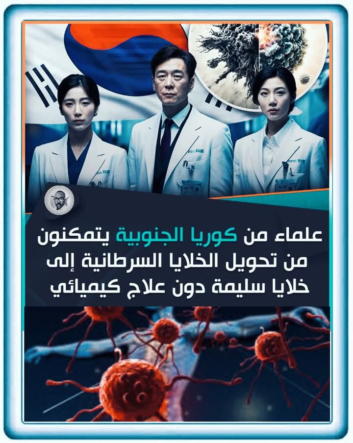 عمار علي حسن Ammar Ali Hassan tweet media