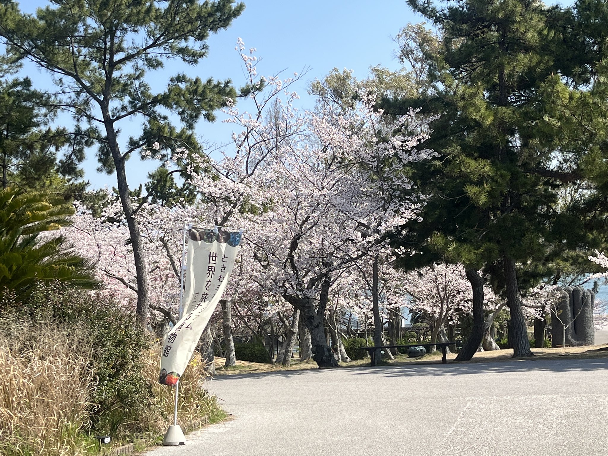 ときわ公園【公式】 (@tokiwakouen) / X ときわ公園【公式】 (@tokiwakouen) / X