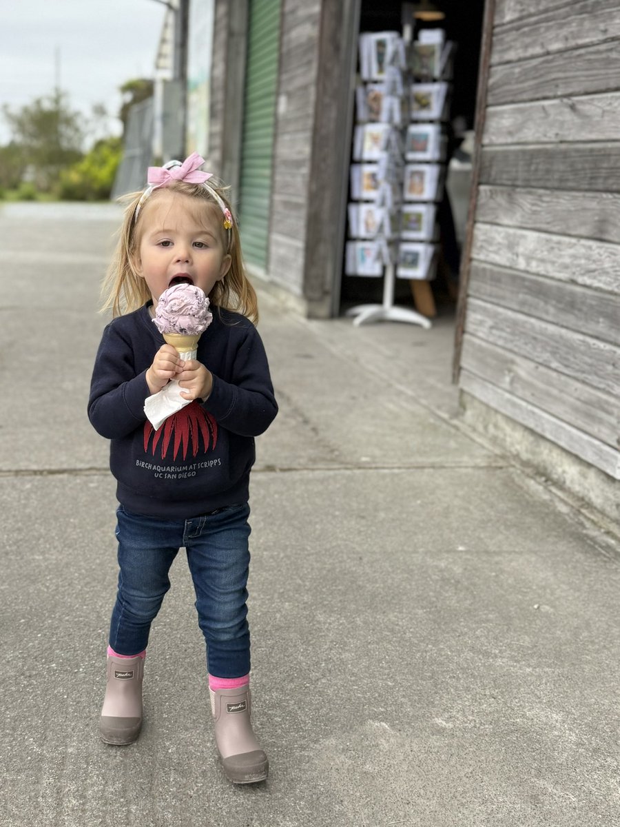 Maia Bittner tweet media