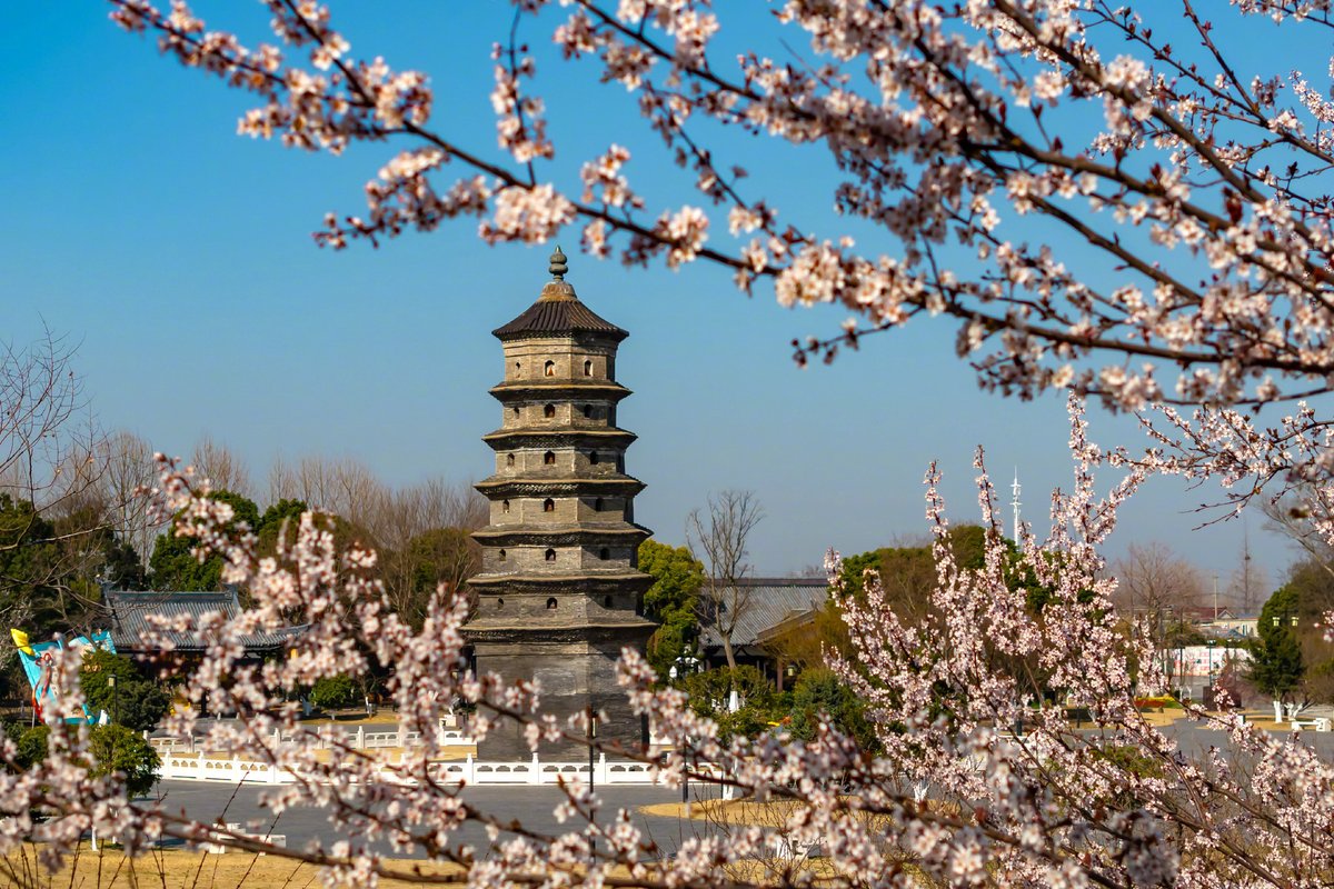 real_time_china's tweet image. The combination of spring and ancient Chinese architecture is simply stunning! When sunlight dances on China’s historic buildings, it paints an ethereal Eastern masterpiece. Take in the beauty below!#ChineseCulture #SpringAesthetics #ArchitectureLovers