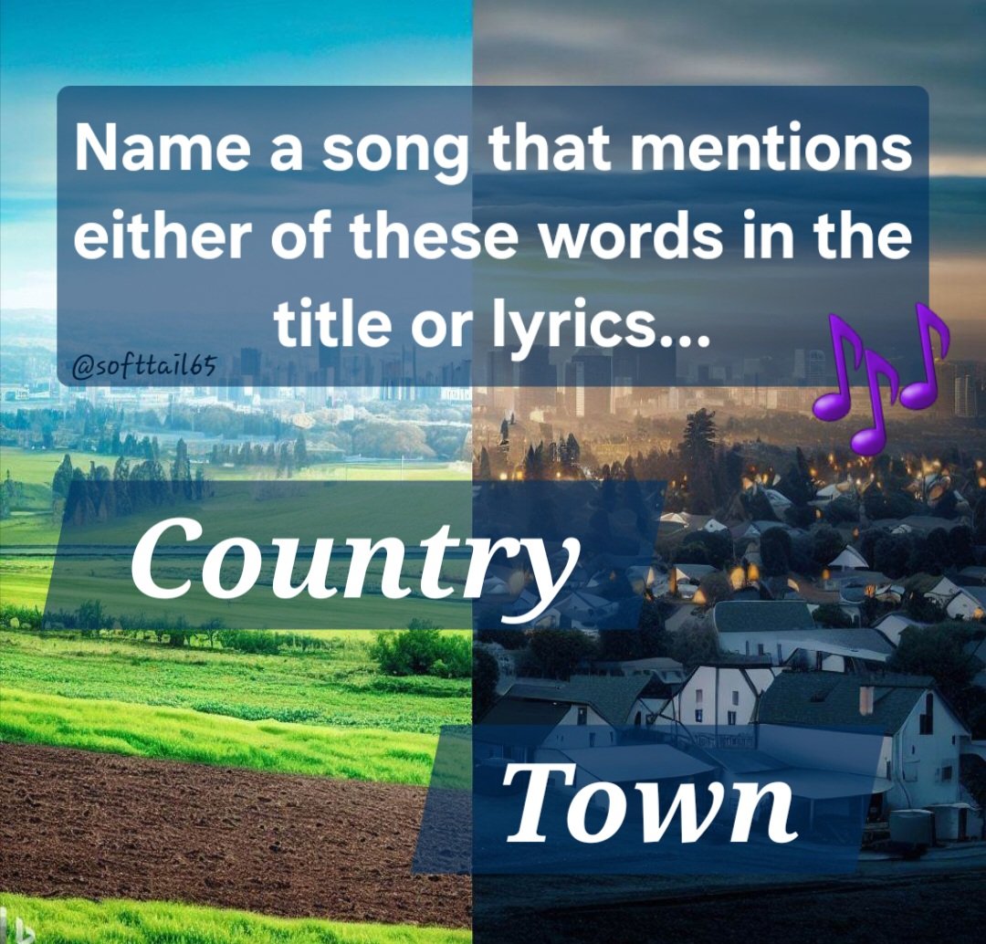 Monica 💙🌻🏳️‍🌈 tweet media