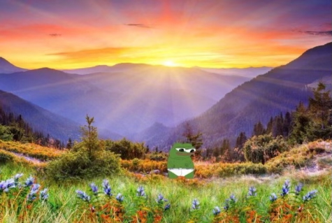 𝚆𝚑𝚒𝚝𝚎𝚙𝚒𝚕𝚕𝚁𝚇 tweet media