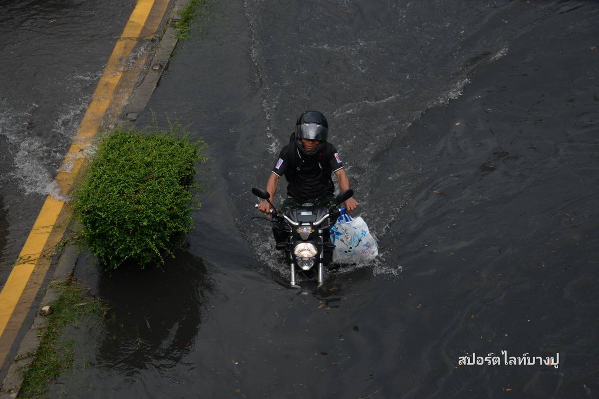 fm91trafficpro's tweet photo. 09.34 น. น้ำท่วม ถ.แพรกษา ยังไม่มีทีท่าว่าจะลดระดับลง!

ถนนแพรกษา ช่วงหน้าวัดแพรกษา - ตลาดรัศมีอนันต์ น้ำยังท่วมสูง ทั้งขาเข้าและขาออก  รถติดหนักมาก ฝั่งขาออก ท้ายอยู่ทางเลี้ยวเข้ามาจากสุขุมวิท ส่วนฝั่งขาเข้า  ท้ายอยู่ปากซอยแพรกษา 10/1 หน้าหมู่บ้านปัญฐิญา #รายงานจราจร #น้ำท่วม #FM91

ภาพ : สปอร์ตไลท์บางปู