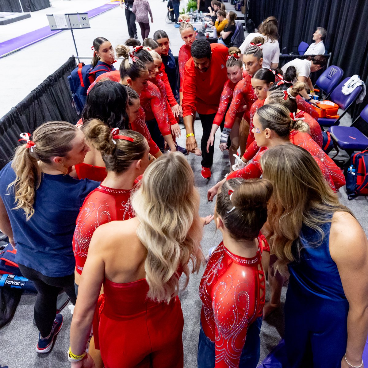 ArizonaGymCats's tweet photo. what a ride. 🥹❤️ https://t.co/Nskq8VzUWu