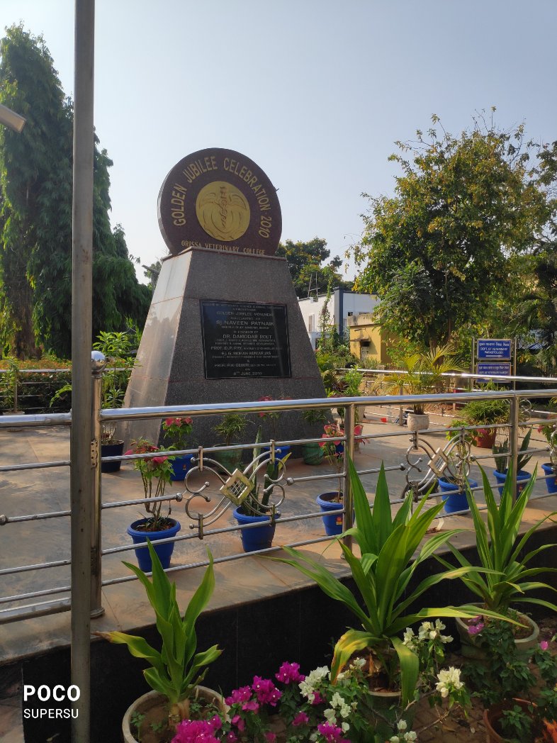 subhrajit01's tweet photo. Why there is no doctor in Odisha Veterinary medical In emergency time. It is 8:10 in the morning. Still no doctor in emergency department. 

Feeling hopeless. That there is no proper animal care maintenance in emergency time. 

@CMO_Odisha @ovc_unofficial https://t.co/7FRzDvN5FK