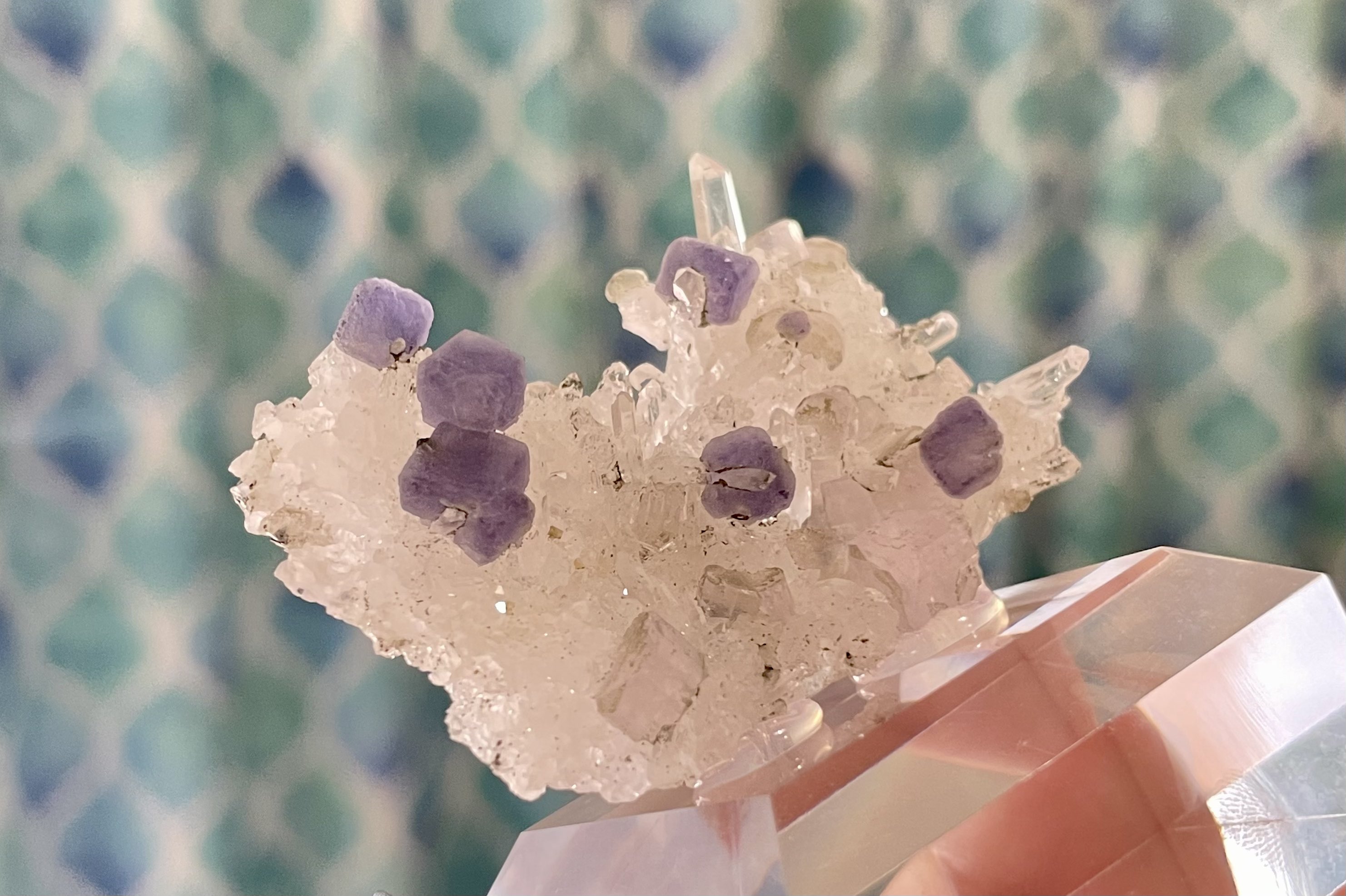 鉱物標本】ツーソン新着品 アメシスト メキシコ産