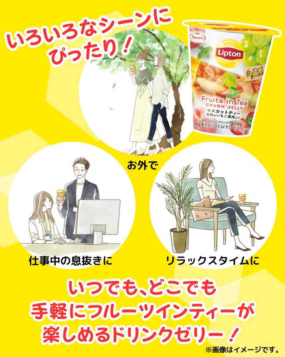 リプトン on X: 