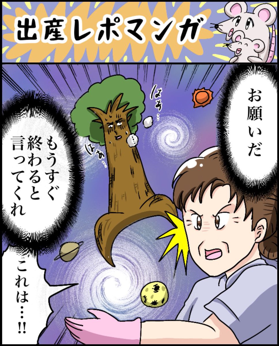 ビビり妊婦による
【1人目出産レポ漫画】🌳(0/16)
#漫画が読めるハッシュタグ
#出産レポ