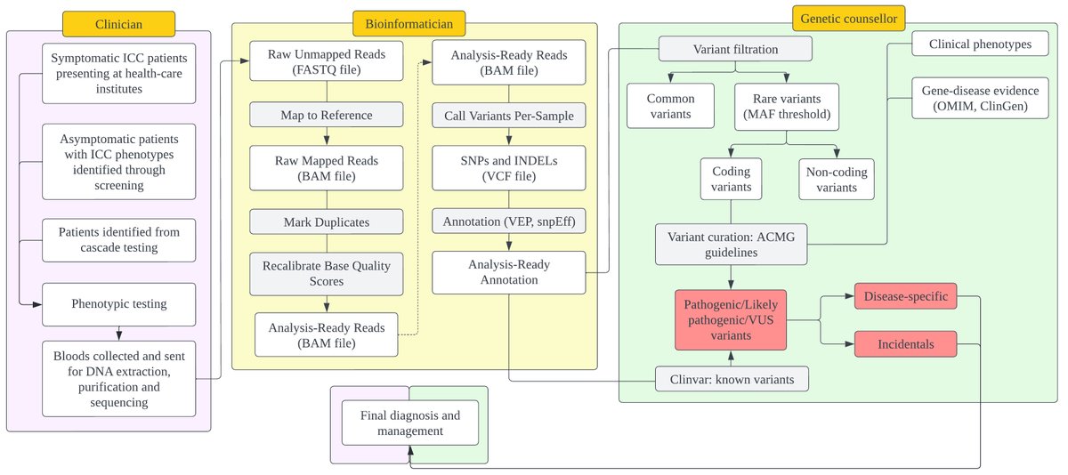 🎉Article Alert: Genomics in practice - a review of inherited cardiac conditions  #inheritedcardiaccondition 

🌟Cardiovascular diseases are the most common cause of death worldwide, with numbers increasing yearly. 

👏Read more:f.oaes.cc/xmlpdf/43f3e46…