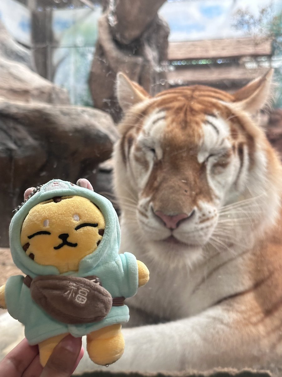 best friend forever! 🐯💗