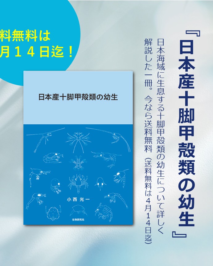 🐙生物研究社(海洋と生物)🐟 (@aquabiology) / X 🐙生物研究社(海洋と生物)🐟 (@aquabiology) / X