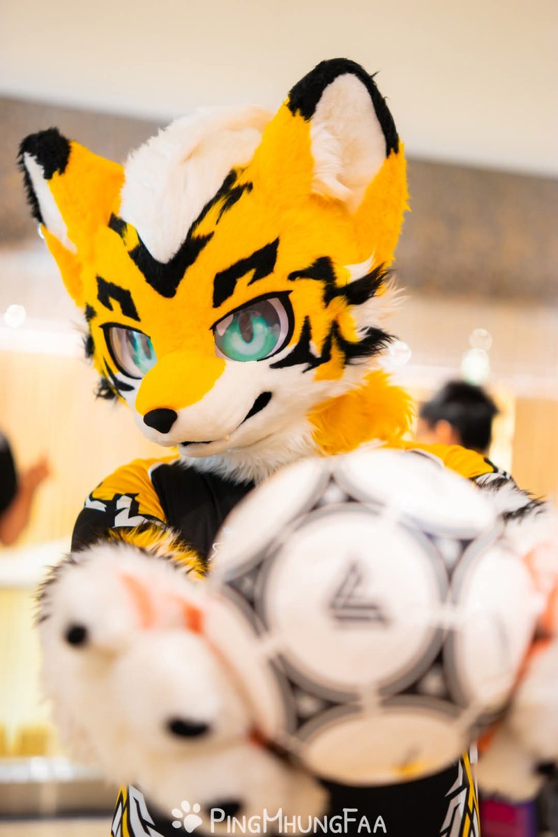 Let's play football ⚽
#FursuitEveryday