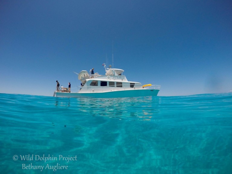 Limited spots available for an adventure with wild dolphins in the Bahamas! 

✨ Trip 2: June 10 - June 18 – 3 spots available!
✨ Trip 4: July 8 - July 16 – 5 spots available!
✨ Trip 6: August 5 - Aug 13 – 6 spots available!
✨ Trip 8: September 2 - Sept 10 – 6 spots available!
