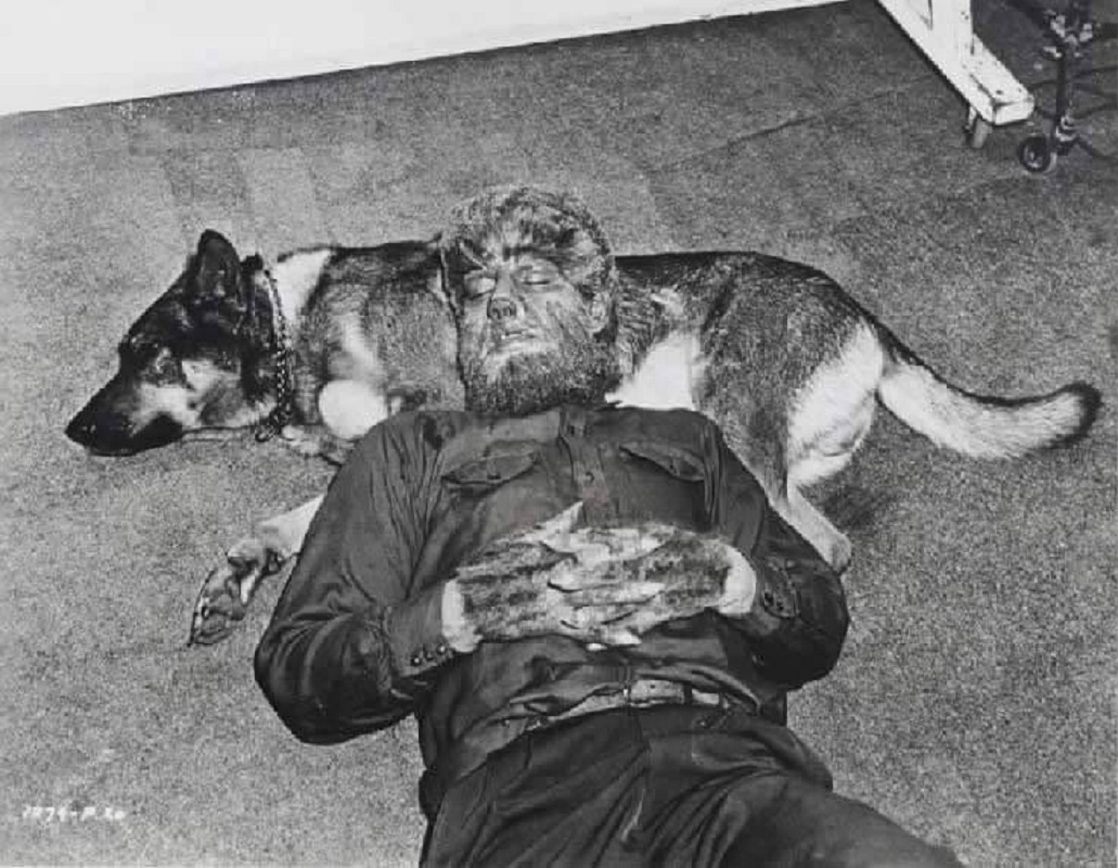Classic Horror Films (@horrorhammer1) on Twitter photo Lon Chaney Jr. was known for his strong bond with his German Shepherd, Moose, whom he met on the set of "The Wolf Man" in 1941 and who accompanied him on subsequent film sets. Lon Chaney Jr. was known for his strong bond with his German Shepherd, Moose, whom he met on the set of "The Wolf Man" in 1941 and who accompanied him on subsequent film sets.