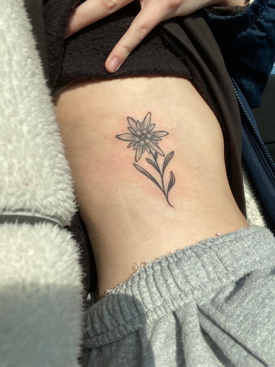 alamort_artisan's tweet photo. ⋮ ⌗ ┆🎸

⌇Guess who got new ink (After def not promising he wouldn’t)

˙✧˖°📷 ༘ ⋆｡˚ https://t.co/efsY33Wegd