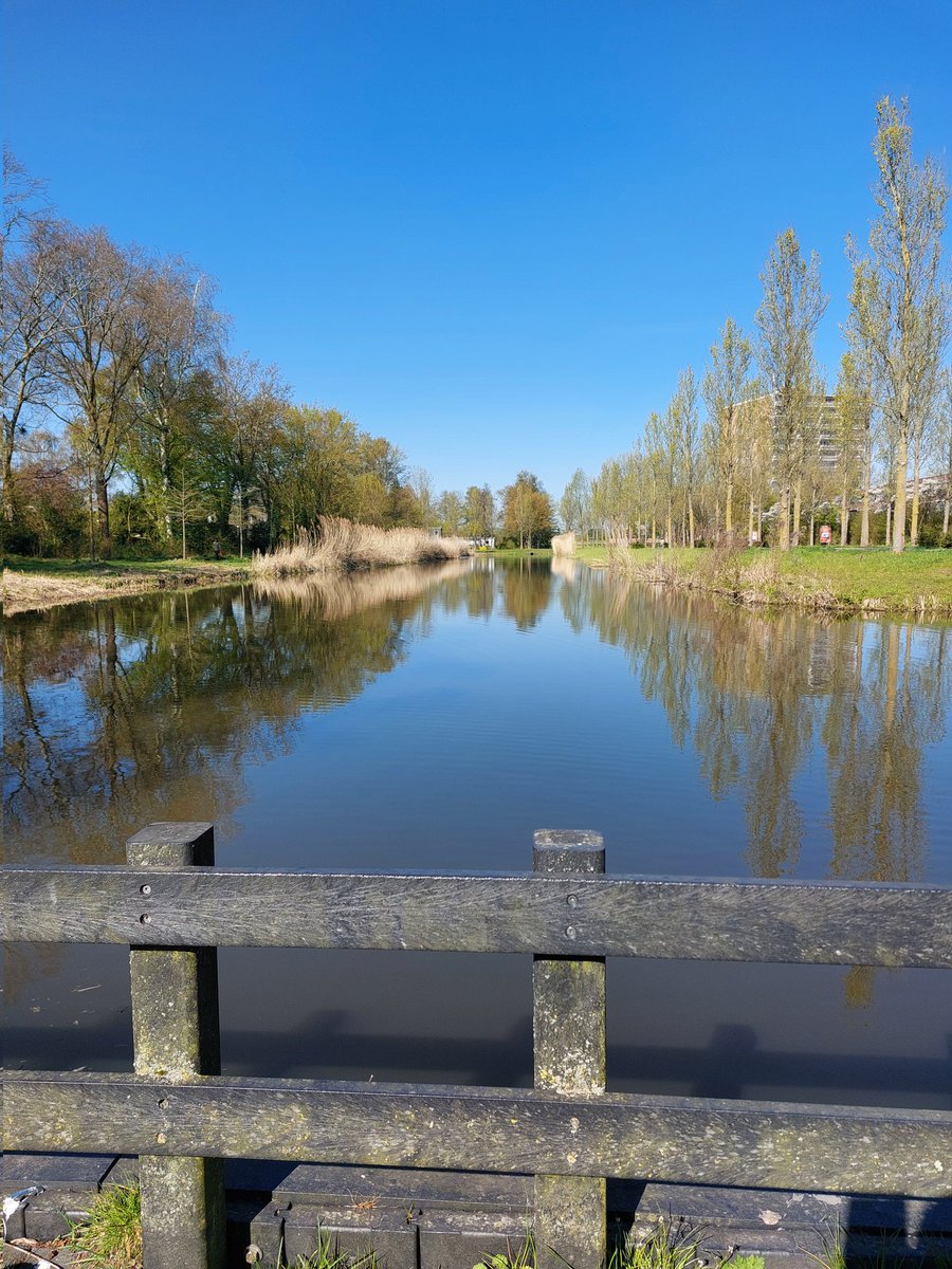 DePlaatVandaag's tweet photo. #Fotovandedag #07042025 #Purmerend #Woonwijk #Natuur #Uitzicht https://t.co/DVHbFtgKHu