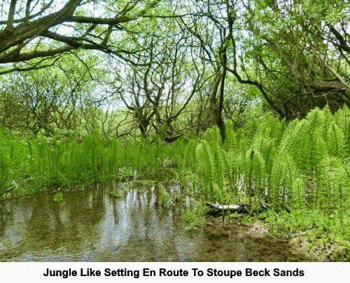 IamHappyHiker's tweet image. This walk from Ravenscar follows a most interesting &amp;amp; picturesque section of the #EastYorkshire coast. Easy navigation because you simply follow the Cleveland Way to Robin Hood’s Bay and the Cinder Track to return to Ravenscar. See happyhiker.co.uk/MyWalks/NorthY…
#NorthYorkMoors