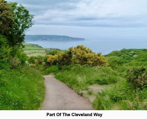 IamHappyHiker's tweet image. This walk from Ravenscar follows a most interesting &amp;amp; picturesque section of the #EastYorkshire coast. Easy navigation because you simply follow the Cleveland Way to Robin Hood’s Bay and the Cinder Track to return to Ravenscar. See happyhiker.co.uk/MyWalks/NorthY…
#NorthYorkMoors