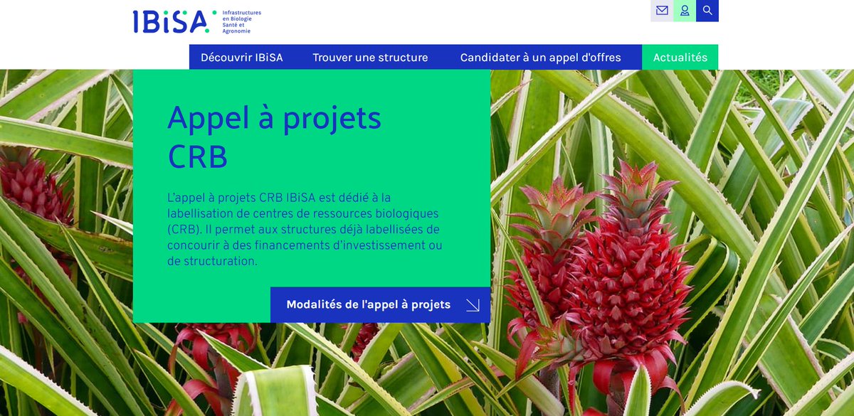 🚨J-7 jours avant la clôture de l'appel à projets #CRB IBiSA 2025 ➡️ibisa.net/appel-projets-…