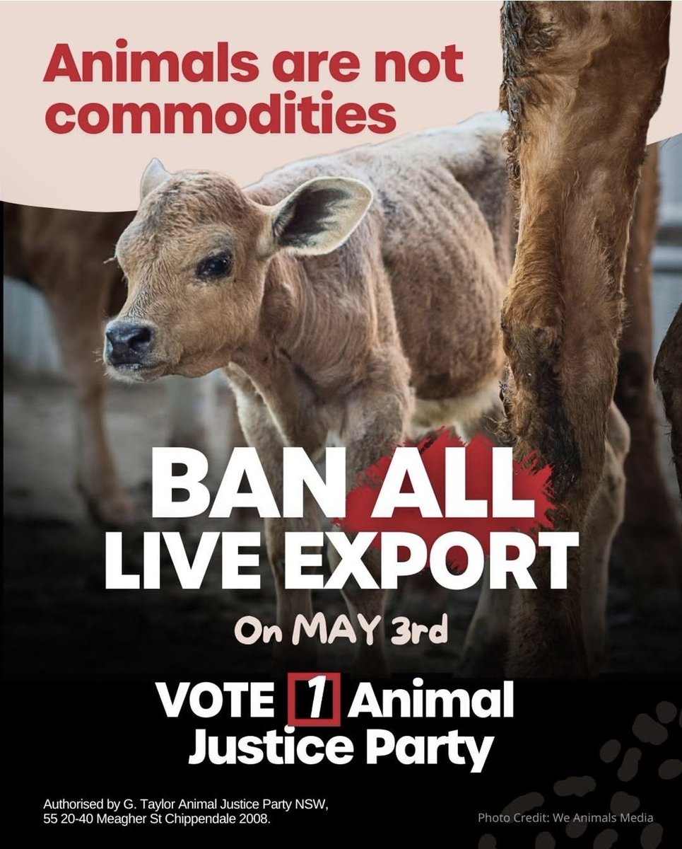 Animal Justice Party NSW (@ajpnsw) on Twitter photo The Animal Justice Party is fighting for an Australia where all live export
is banned.
Live export is a barbaric, outdated industry.
Animals exploited by the live export industry suffer unimaginably ...
nsw.animaljusticeparty.org/election_volli… The Animal Justice Party is fighting for an Australia where all live export
is banned.
Live export is a barbaric, outdated industry.
Animals exploited by the live export industry suffer unimaginably ...
nsw.animaljusticeparty.org/election_volli…