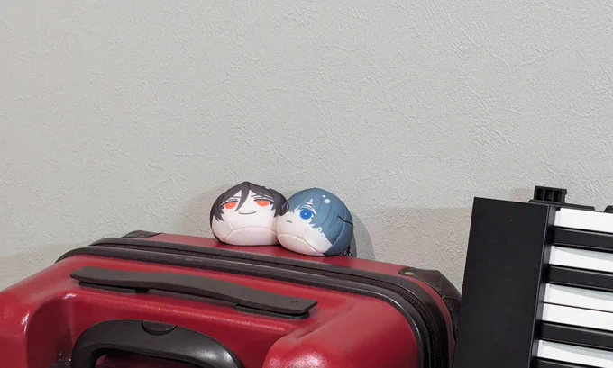 来た。虚無顔でかわいい。 