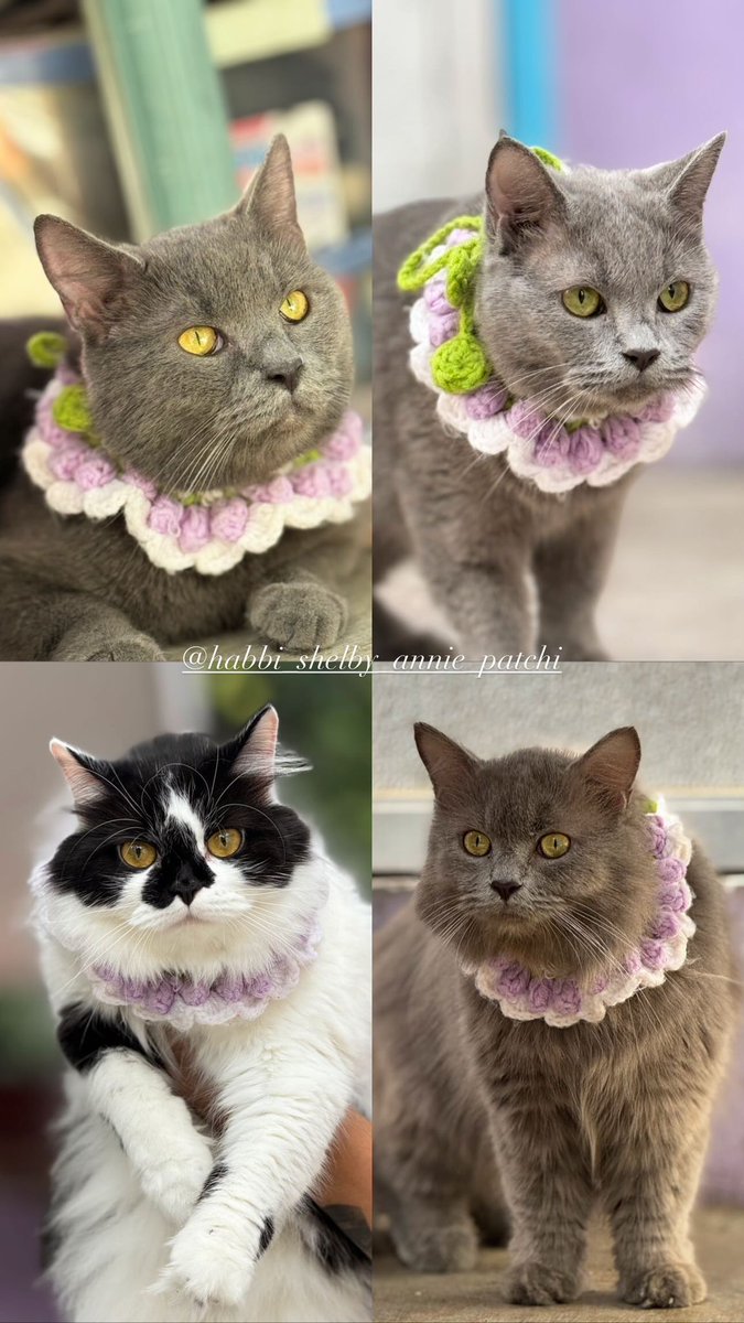 Proof of life ❤️