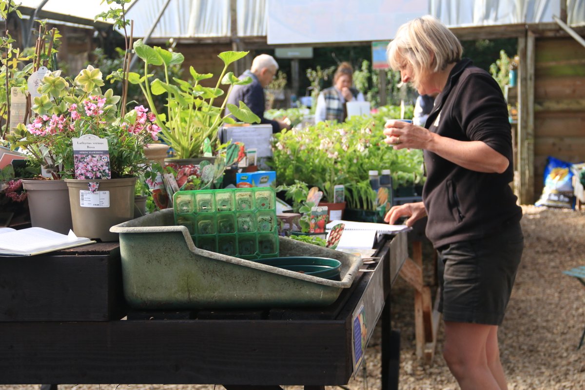 This weekend we 'got going with grow your own'. It doesn't stop at vegetables. Home produce includes indispensable herbs for cooking, fruit bushes and trees and all the pollinators, perennial plants .
#growyourownfoods #homeproduce #veggrowing #sustainability #homegrown