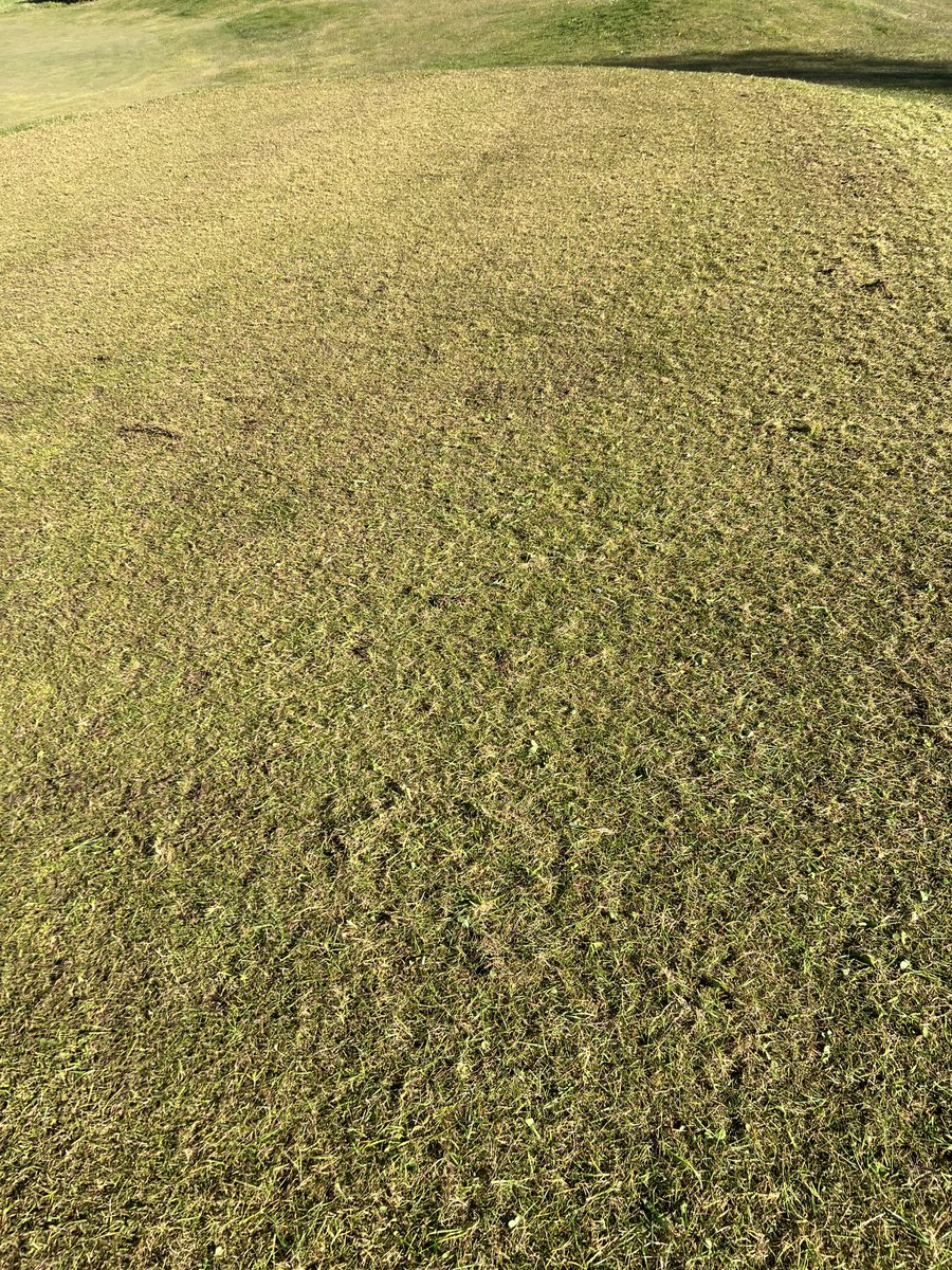 Allan Donlevy tweet media