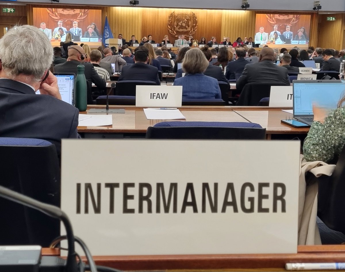 Our team is attending the crucial MEPC83 meeting at the IMO this week, ensuring the voice of ship managers is heard when finalising groundbreaking #regulations for the international #shipping industry.
#shipmanagement #maritime #safety #decarbonisation #netzero