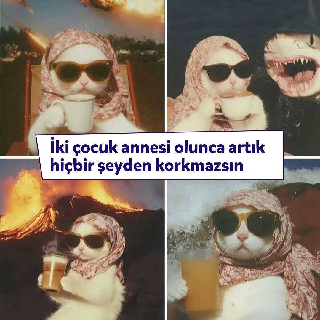 NovakidTurkiye's tweet photo. https://t.co/Y3Gx9Gnc5t