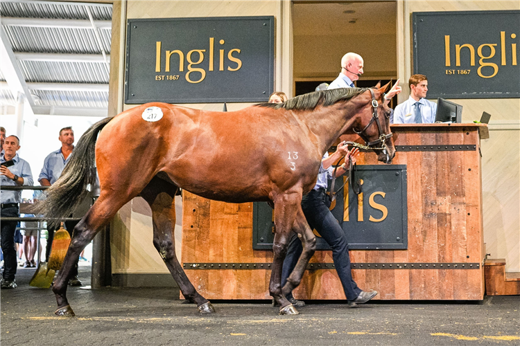 A close relation to Zougotcha was the top of Day 2 at the Easter Yearling Sale. <a href="/widdenstud/">Widden</a> 
racingandsports.com.au/news/racing/ne…