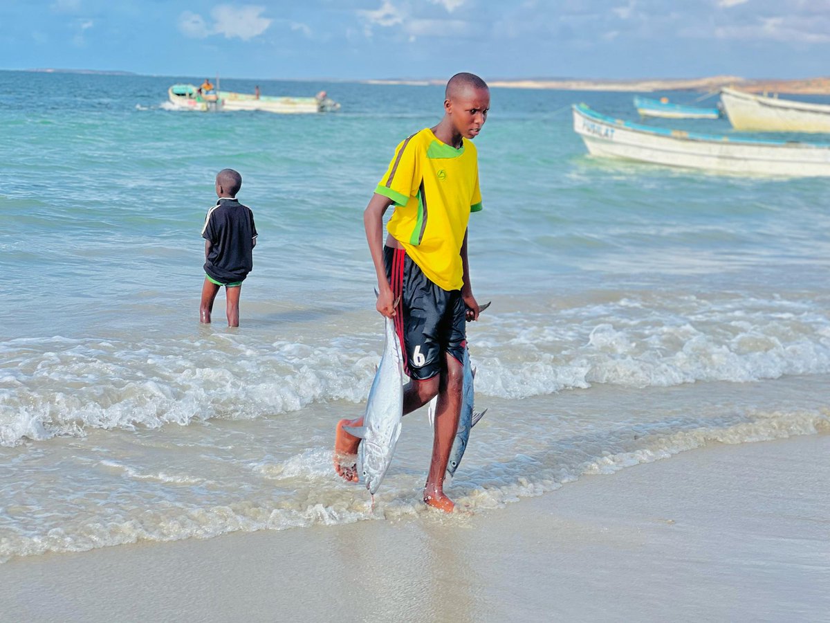 Ministry Of Fisheries & Blue Economy Jubaland tweet media