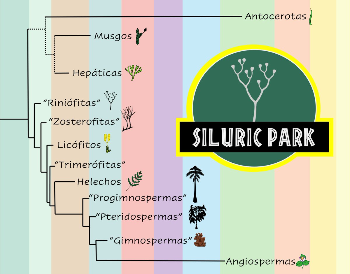 Sociedad Botánica Española (@oficialsebot) on Twitter photo Este jueves tendremos una nueva charla del ciclo Cafés Sistemáticos ☕️🌿. Candela Blanco Moreno <a href="/candela3_cantos/">Candela Blanco-Moreno🌱</a> <a href="/biologia_uam/">Departamento Biología UAM</a> nos hablará de plantas fósiles:
"Paleobotánica: la historia oculta de las plantas"
🗓️ Jueves, 10 de abril
⏲️ 11:00 (CET)
🔗 conectaha.csic.es/b/mar-dl5-qfa-… Este jueves tendremos una nueva charla del ciclo Cafés Sistemáticos ☕️🌿. Candela Blanco Moreno <a href="/candela3_cantos/">Candela Blanco-Moreno🌱</a> <a href="/biologia_uam/">Departamento Biología UAM</a> nos hablará de plantas fósiles:
"Paleobotánica: la historia oculta de las plantas"
🗓️ Jueves, 10 de abril
⏲️ 11:00 (CET)
🔗 conectaha.csic.es/b/mar-dl5-qfa-…
