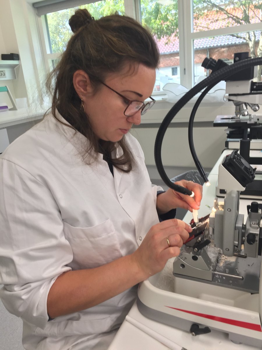 New blog "Understanding E. coli infections: The impact of local inflammation" 👉projects.au.dk/pig-paradigm/n…
Darya's research topic within PIG-PARADIGM includes gastrointestinal health, morphology and immunity of pigs, and intestinal inflammation and inflammatory markers.