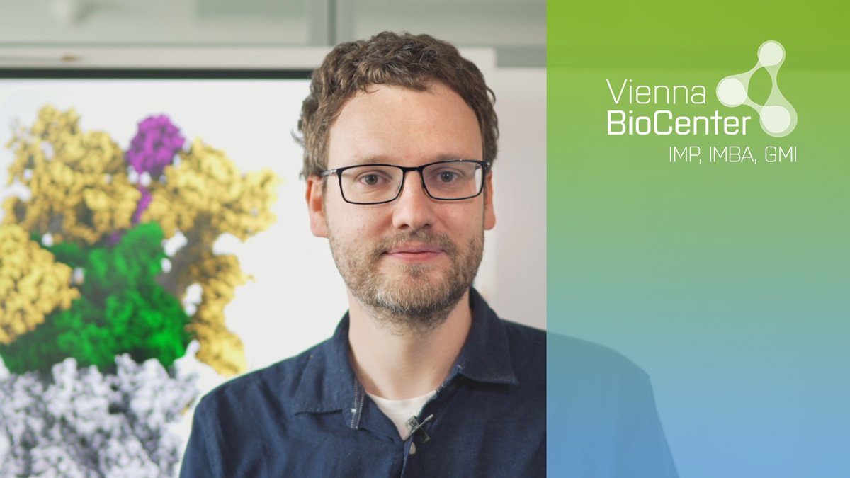 IMP (@impvienna) on Twitter photo Passionate about structural biology and #biochemistry? Join David Haselbach’s group through the Vienna BioCenter #PhD Program (<a href="/TrainingVbc/">Vienna BioCenter Scientific Training</a>)!
⏳ Deadline: April 15, apply now: training.vbc.ac.at/phd-program/
📷Watch David's 'Scientist Snapshot': youtube.com/watch?v=DXTOW3… Passionate about structural biology and #biochemistry? Join David Haselbach’s group through the Vienna BioCenter #PhD Program (<a href="/TrainingVbc/">Vienna BioCenter Scientific Training</a>)!
⏳ Deadline: April 15, apply now: training.vbc.ac.at/phd-program/
📷Watch David's 'Scientist Snapshot': youtube.com/watch?v=DXTOW3…