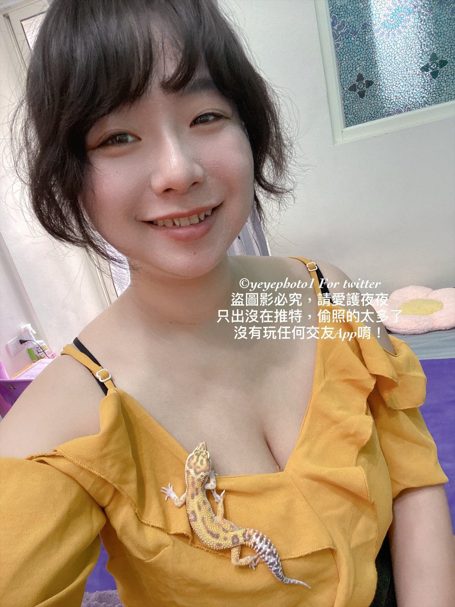 我可愛的寵物
真的蠻像一個擺件的
客人來了說小守超可愛😍
#星期一的悠閒 https://t.co/WE0iILShWB