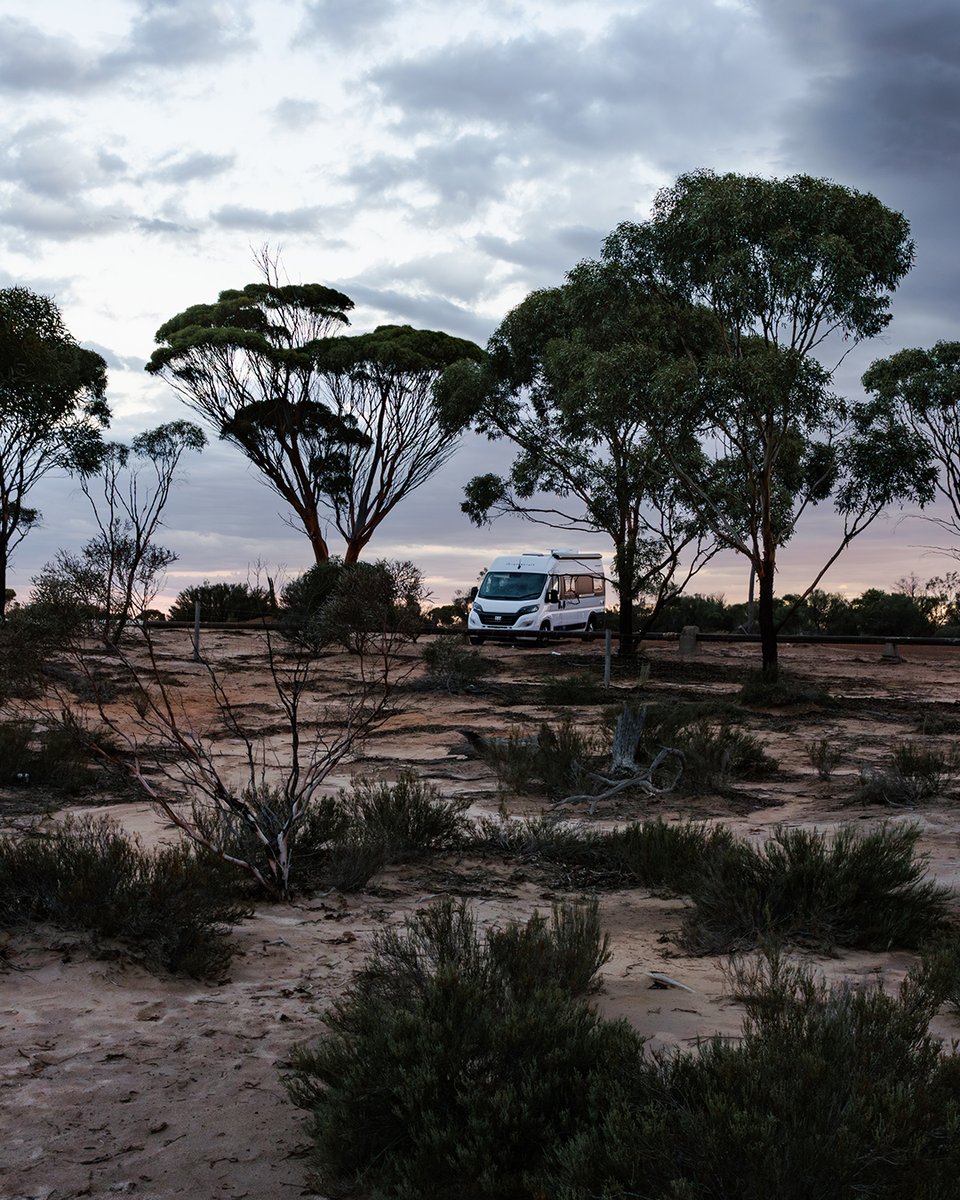 gointerstate's tweet image. Fairy floss skies, sculptures and a yellow lake, not something you would expect to hear when describing the wheatbelt. 10km west of Kondinin on the Corrigin-Kondinin Road you can view the eclectic statues ‘Waiting for Hay’ created by a local Kondinin farmer Kelly Browning.
