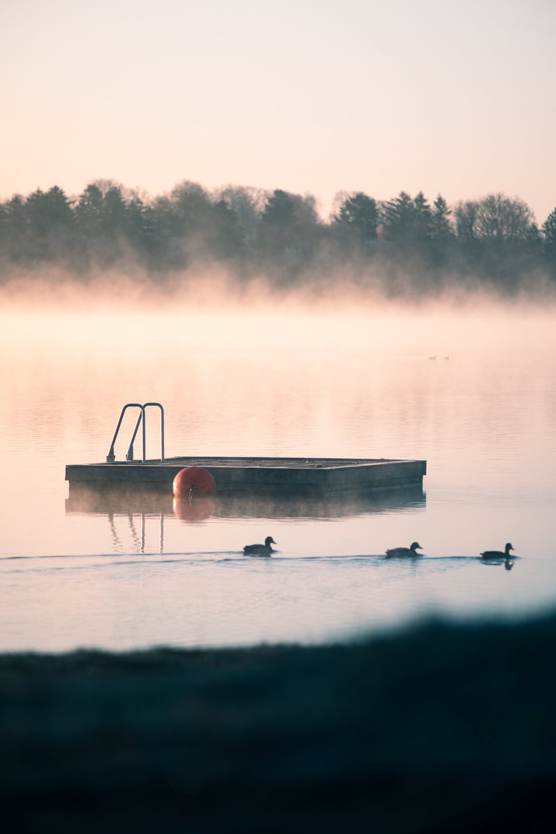 Darte Fex tweet media