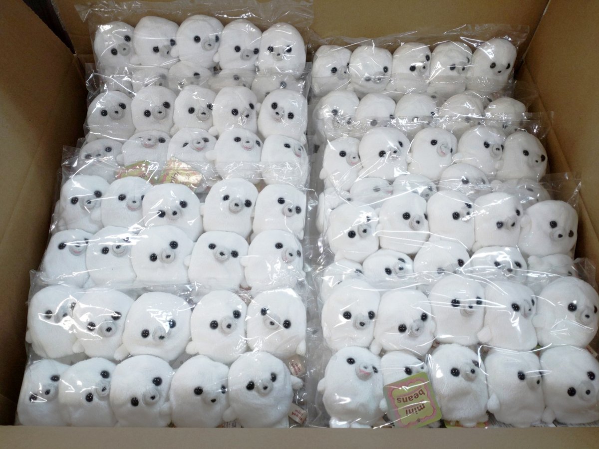 まんぼう屋さんに着いたよ！みんなもう少し待っていてね！　あざらし一同