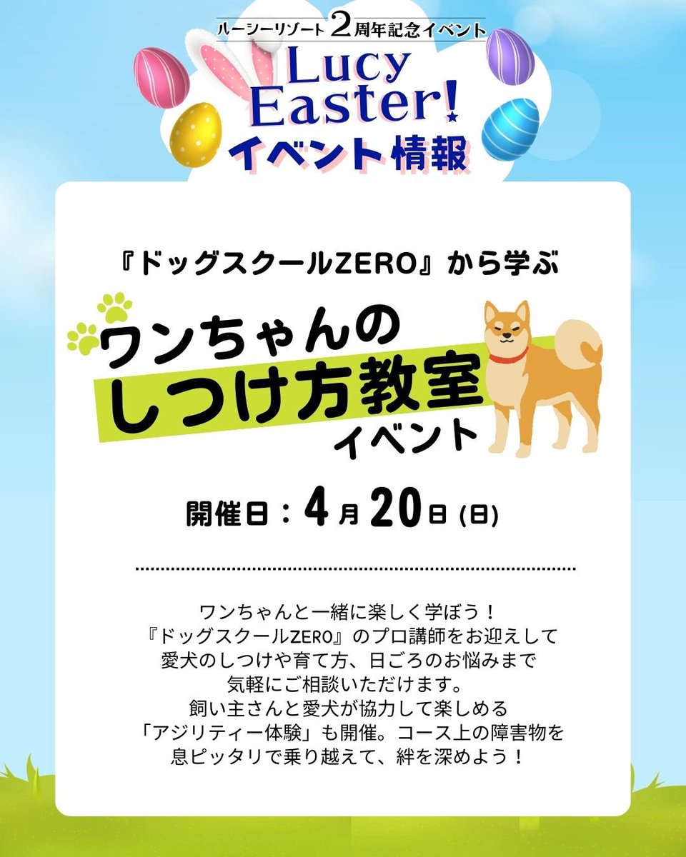 lucy_resort's tweet photo. 『ドッグスクールZERO』から学ぶ、ワンちゃんのしつけ方教室イベント開催🐾愛犬のしつけや育て方を気軽に相談できる無料相談会やアジリティ体験・パピーパーティー(1,100円／1頭)を開催予定です。
#アジリティー #パピー教室 #ルーシーリゾート #茨城ドッグラン #関東ドッグラン https://t.co/olM1SsIyYL