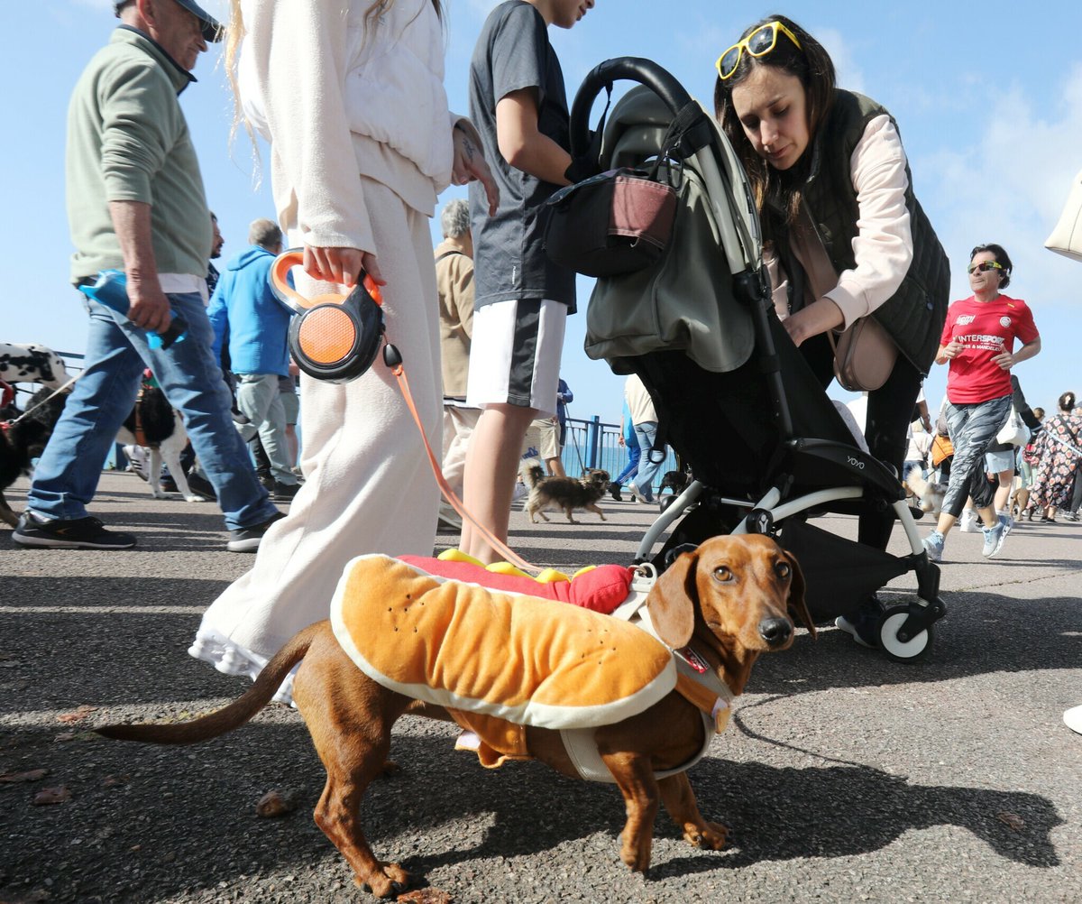 Nice-Matin tweet media