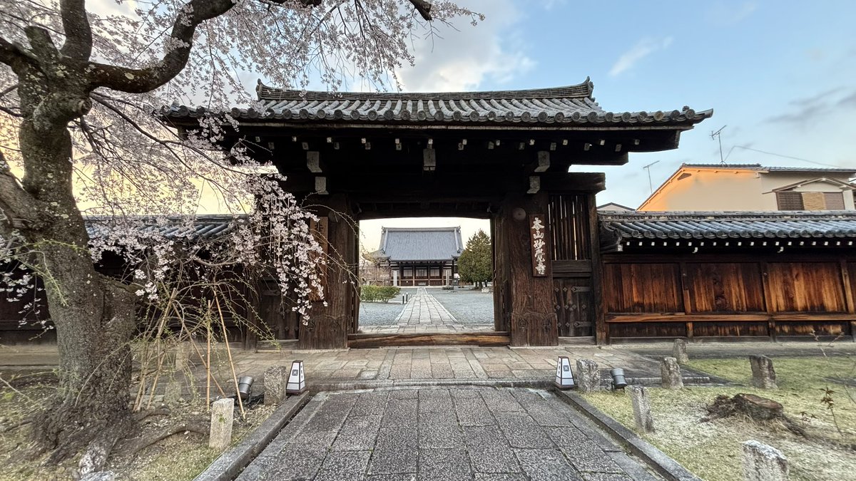 kusakusho's tweet photo. 妙顕寺 春の特別公開は桜がまだまだ綺麗に咲き誇っているため4月13日日曜日まで延長されました。

静寂と癒しの奥にある美

特別公開にあわせて希莉光あかり意外にも作家さんの作品が展示されており、良い刺激をいただきました✨

#倉敷光作所
#希莉光あかり
#妙顕寺
#癒し
#妙顕寺ライトアップ https://t.co/L4Qr1ECBTw